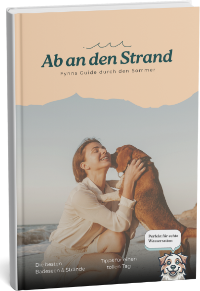 Guide durch den Sommer – WuffsWorld Hundestrände